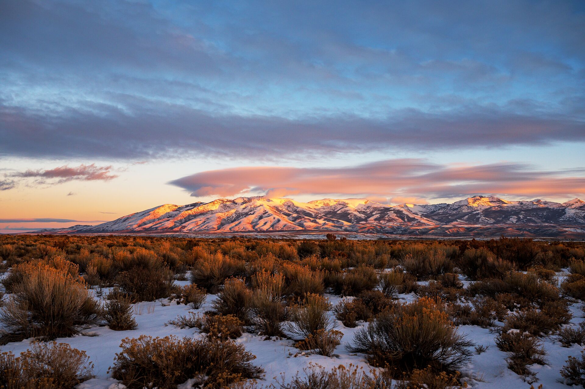 Nevada